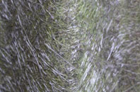 Pope Hill fibreglass roof work